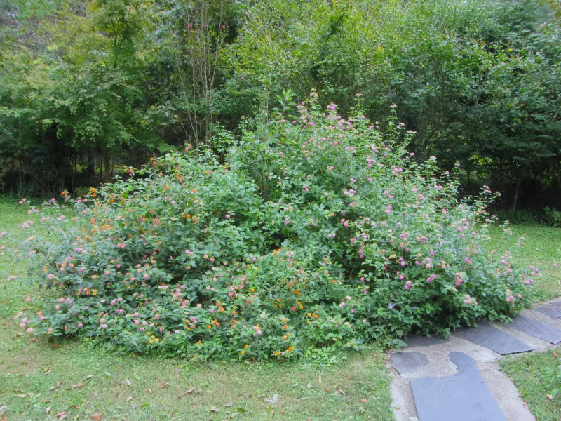 The Wrong Choice Can Create More Work Than Color