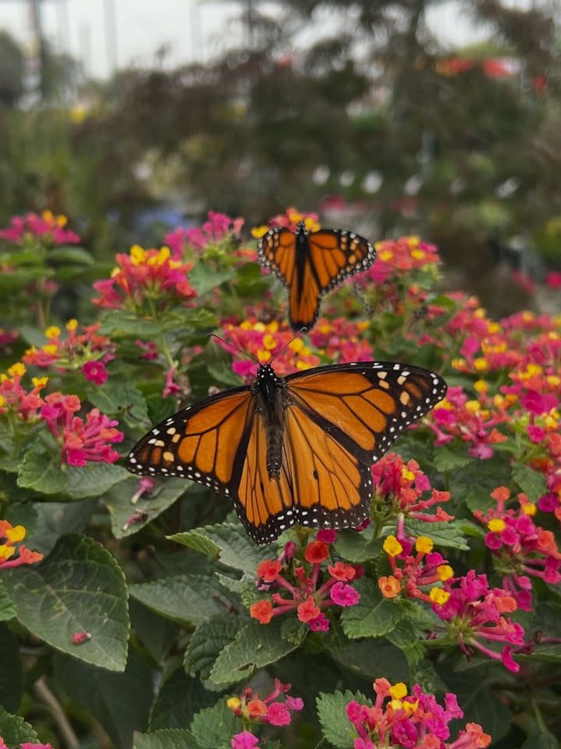 Why Color Matters So Much