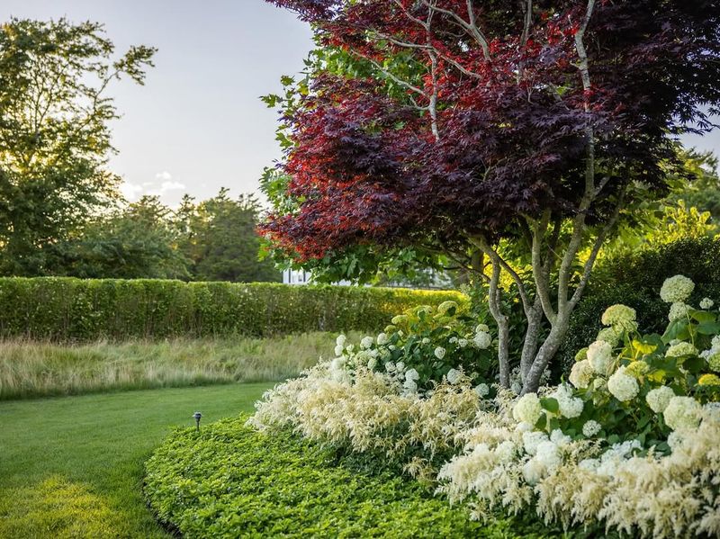 Well Placed Shrubs Create Structure In The Yard