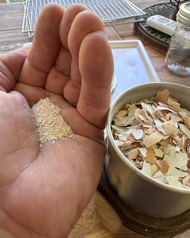 Using Crushed Eggshells Effectively