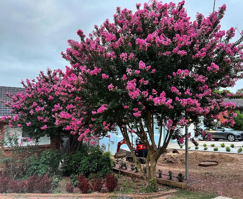 Cooler Spring Temperatures In The Mountains