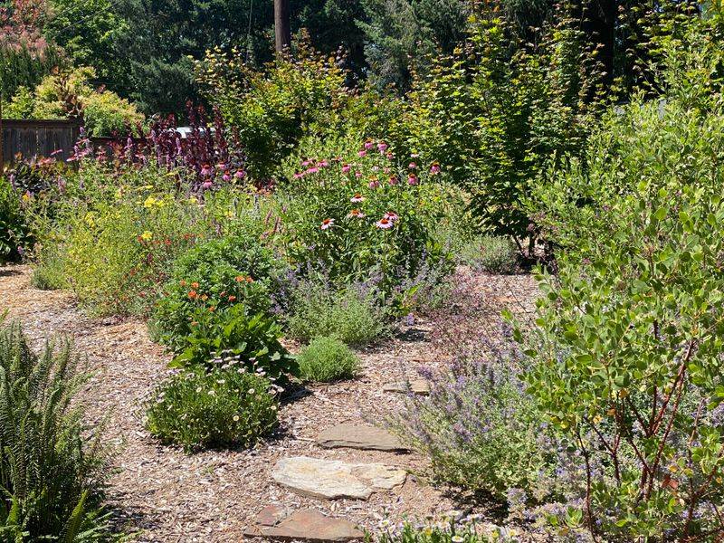 Layered Landscapes Create Habitat Without Looking Messy