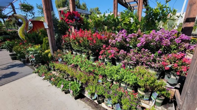 Using Low-Quality Materials Or Plants