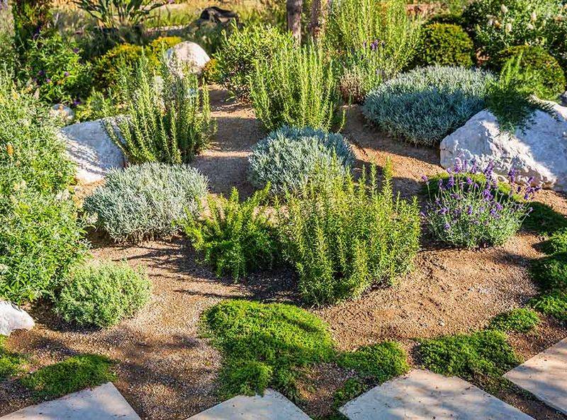 Low Water Needs Save Nevada Homeowners Money