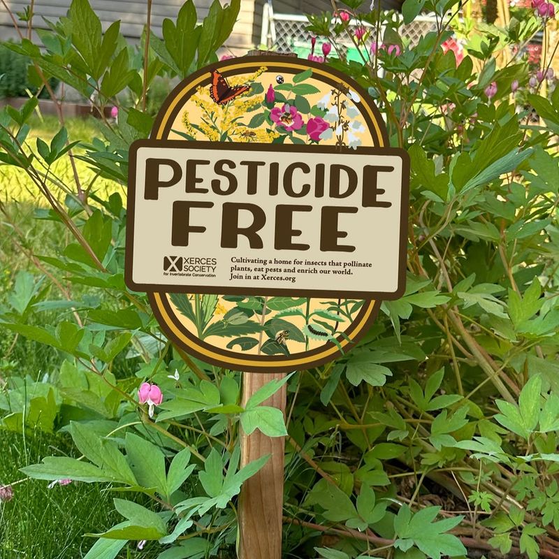 Pesticides Driving Birds Away