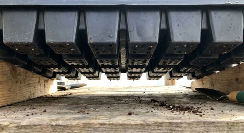 Skipping Proper Drainage