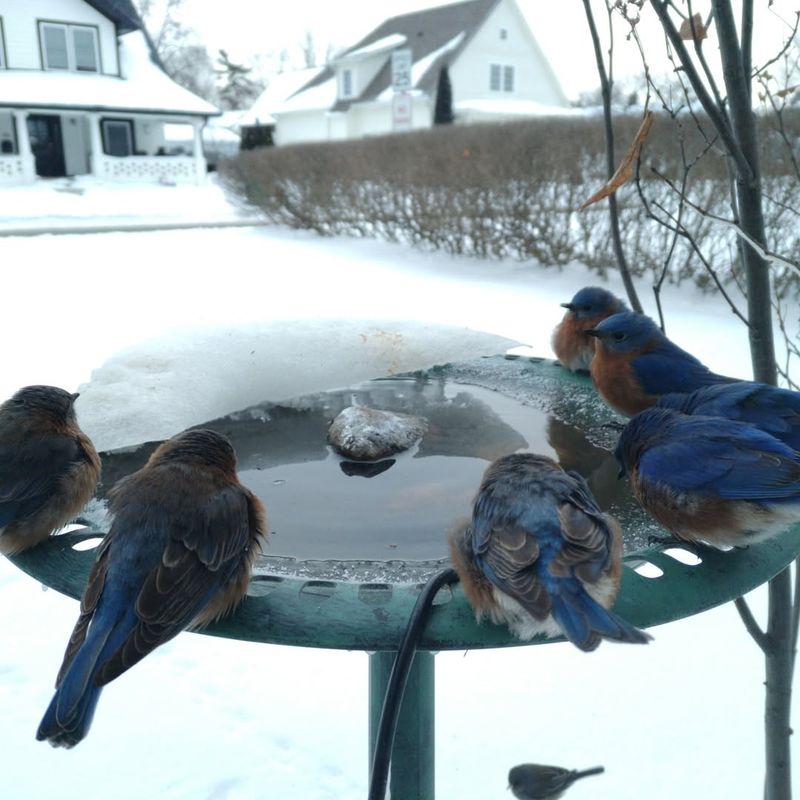 No Reliable Water Source In Any Season