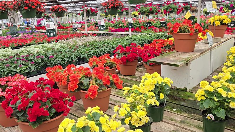 A.J. Rahn Greenhouses Represents Five Generations Of Heritage Excellence