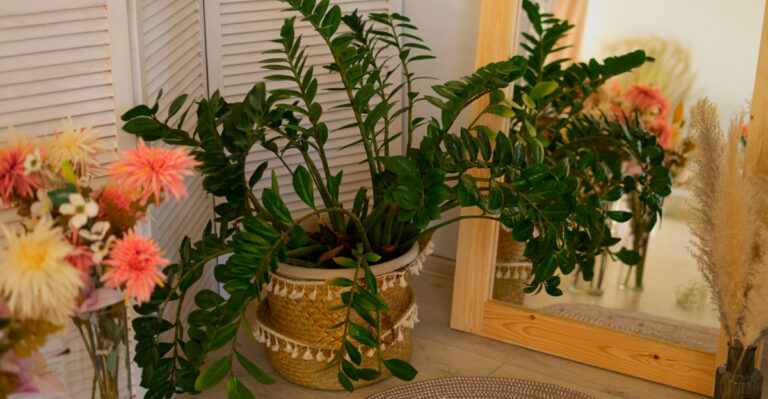 Ohio Gardeners Love This Houseplant With The Cool Name That Can Grow Even In The Lowest Light