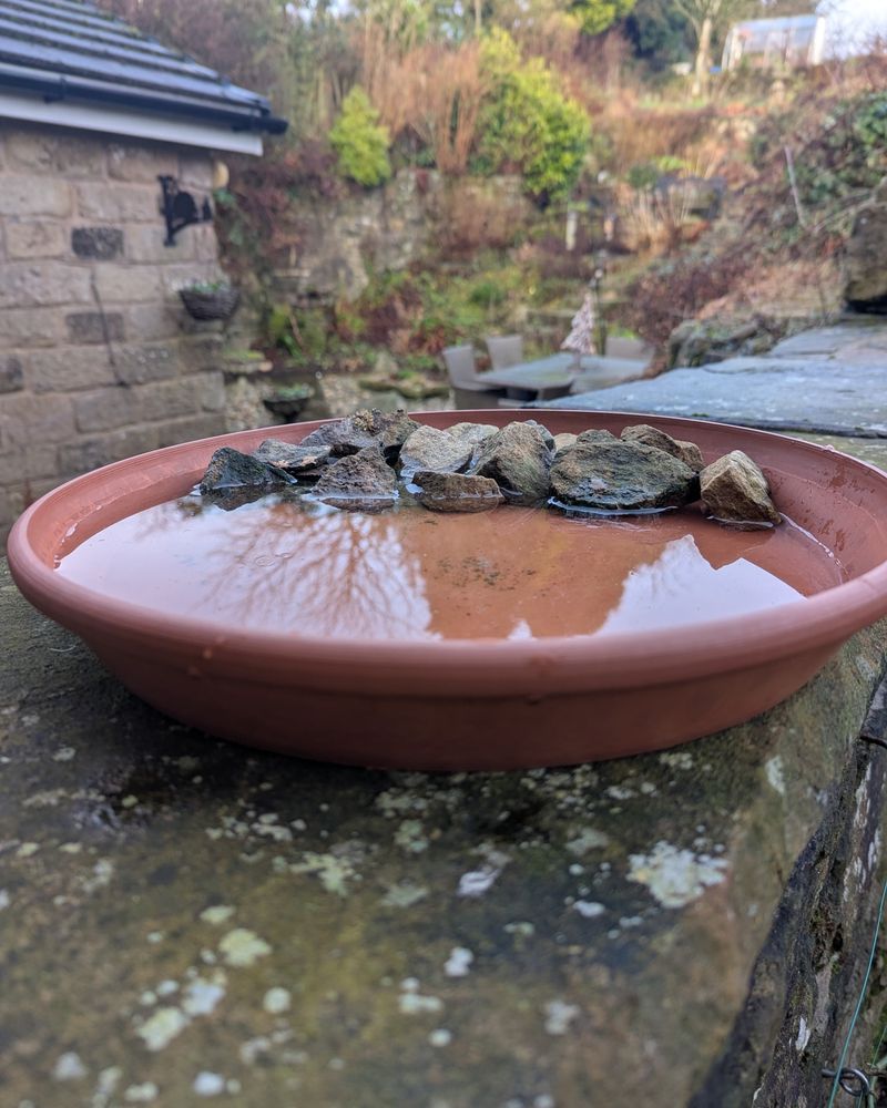 Terra Cotta Pot Basins
