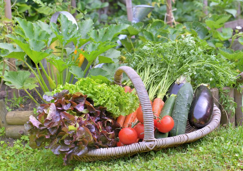 Improves Overall Garden Planning And Yield