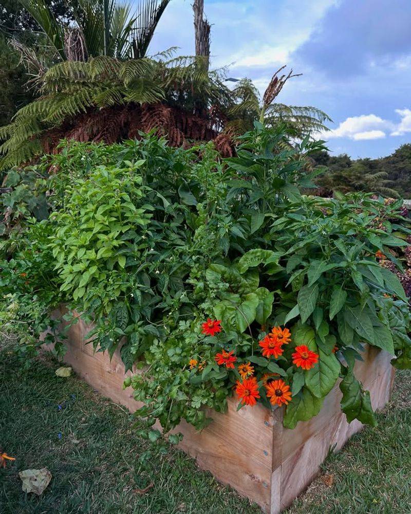 Planting Too Close Together