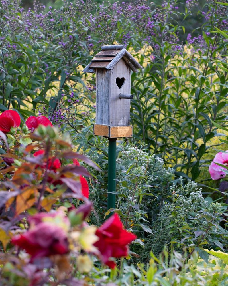 No Safe Shelter Or Cover