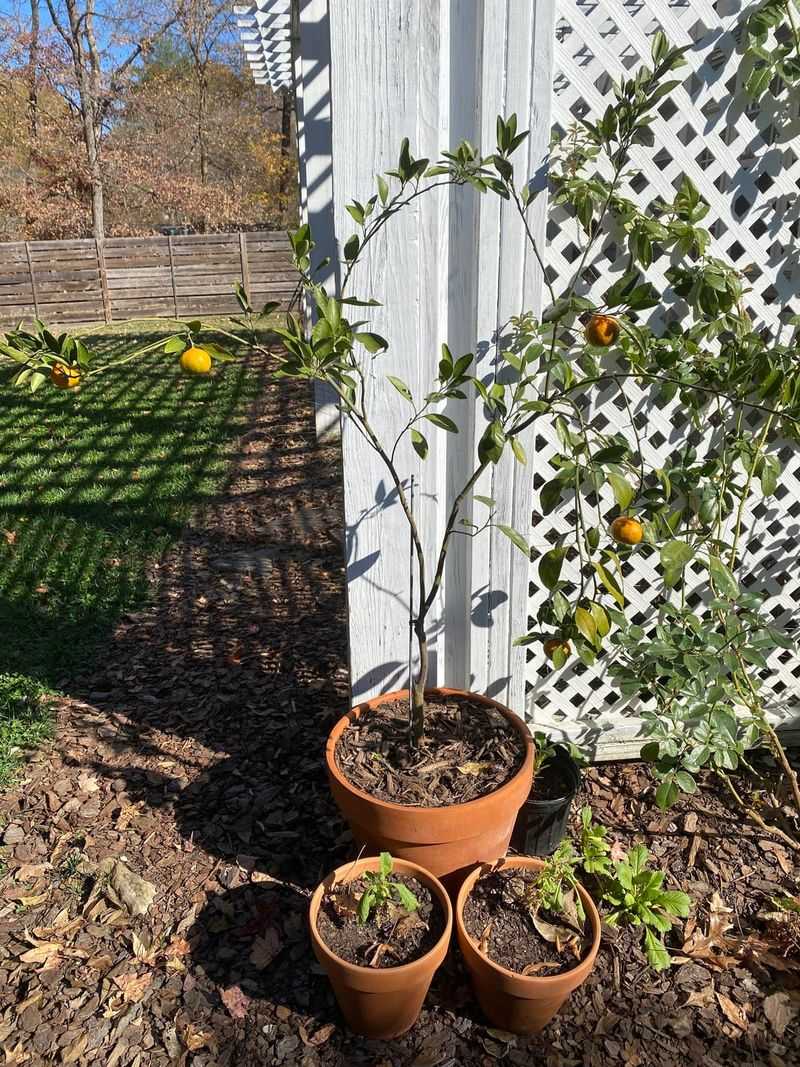 Using The Wrong Container Size