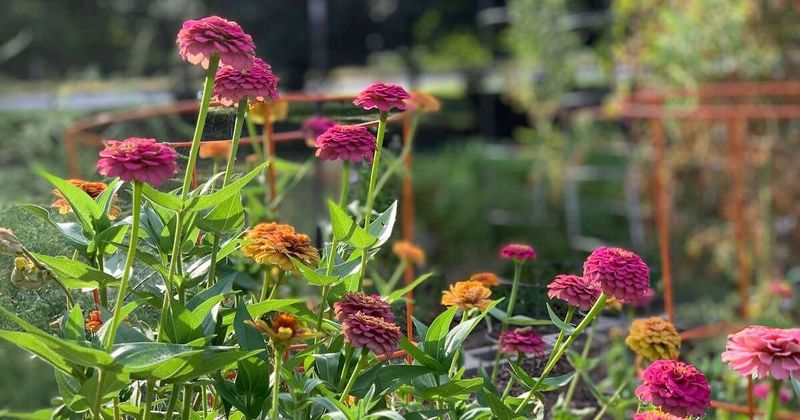 Poor Air Circulation