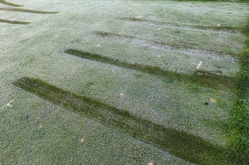 Walking On Frozen Or Thawing Grass Repeatedly