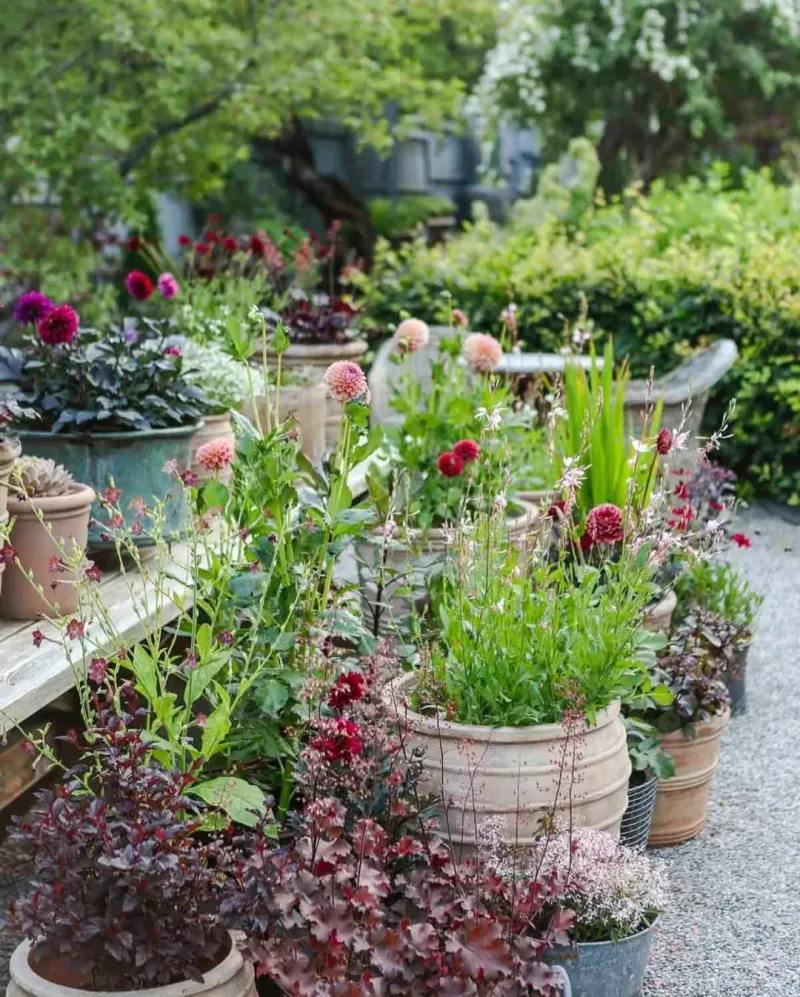 Crowding Plants Too Close Together