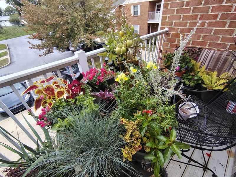 Pollinator Party Planter