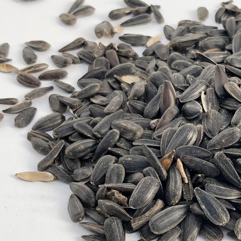 Black Oil Sunflower Seeds