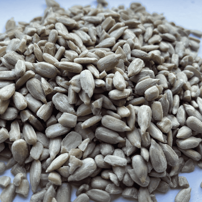 Sunflower Hearts 