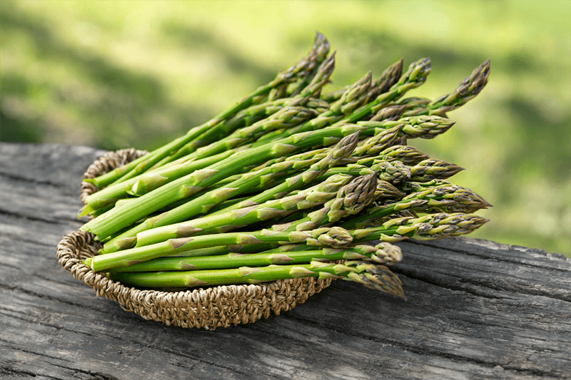 Asparagus Keeps Giving Fresh Spears