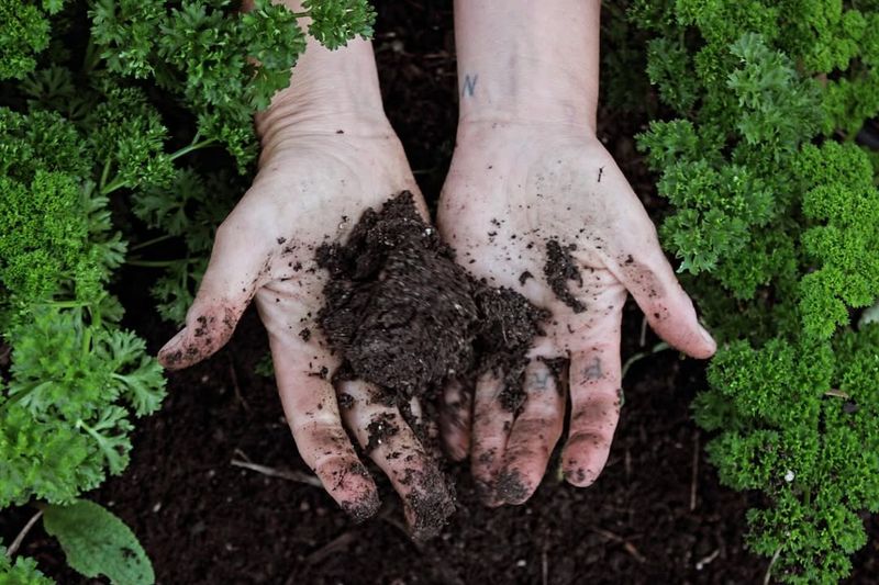 Soil Preparation Should Happen Before Planting Anything