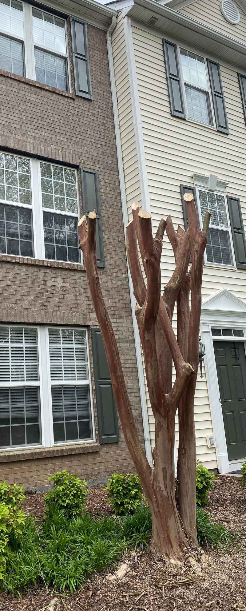 Skip The Harsh Topping That Ruins Shape