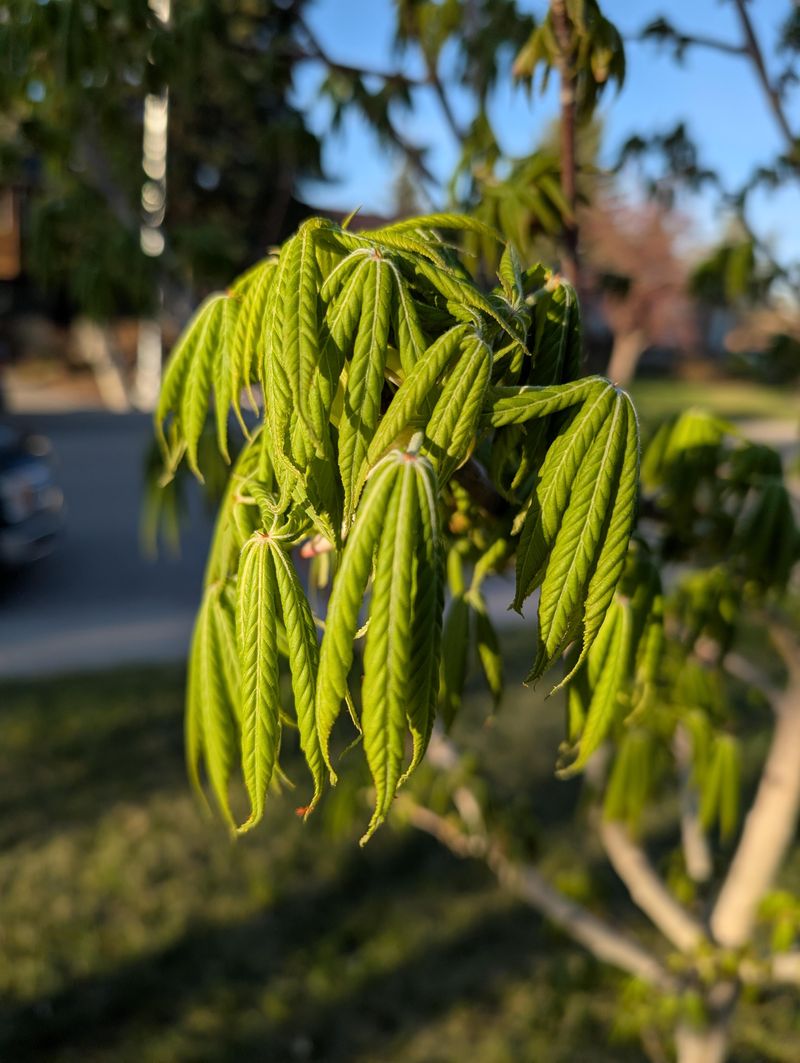 Environmental Stressors And Weather Fluctuations