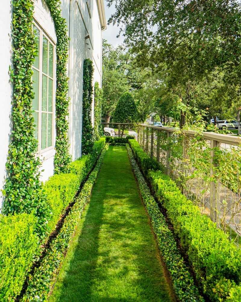 Lawns And Garden Beds Turn Lush Green