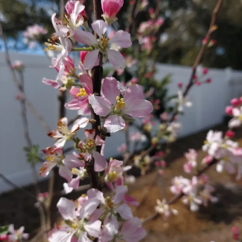 Feeding More Than Needed