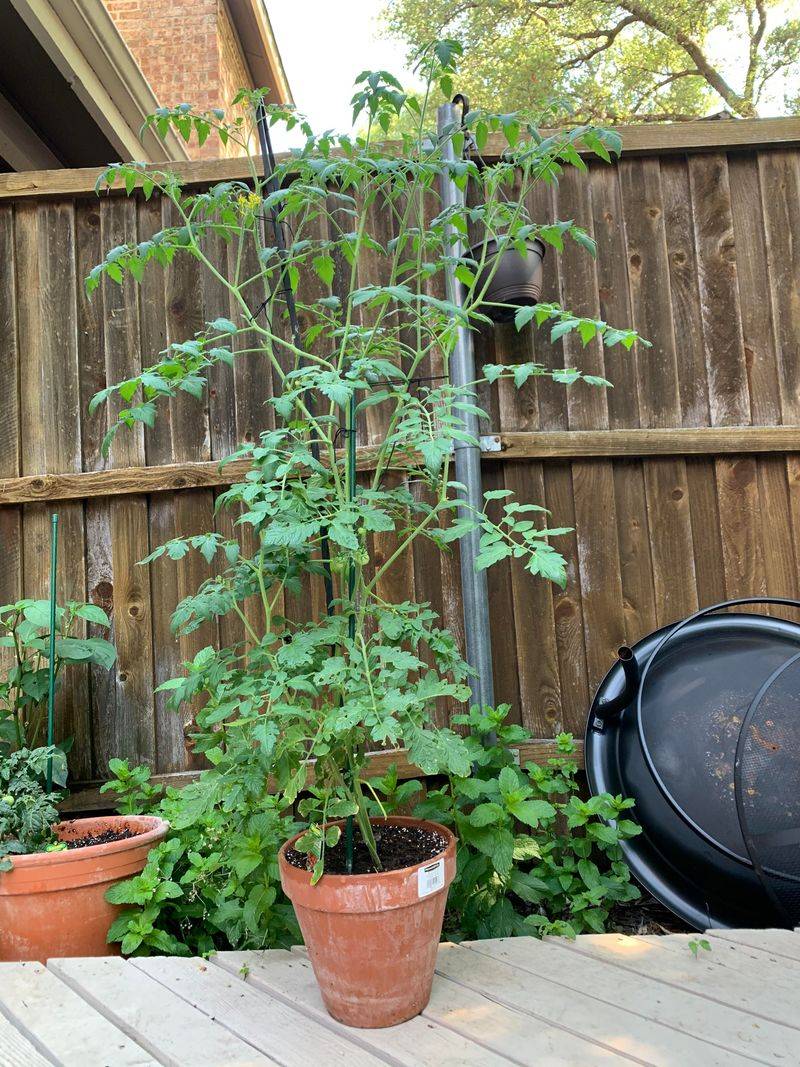 Make Sure Drainage Is Working Before You Plant