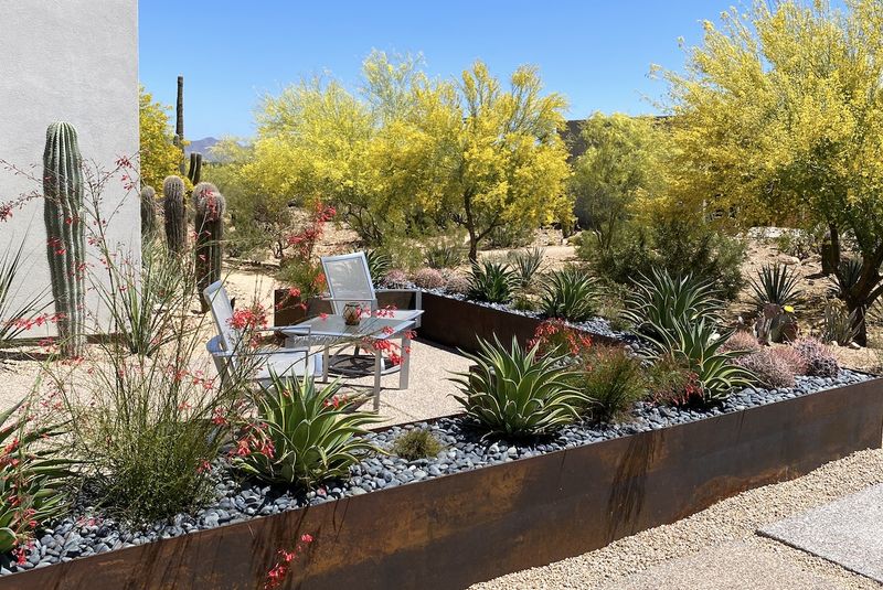 Check Mature Size To Avoid Overcrowding Later