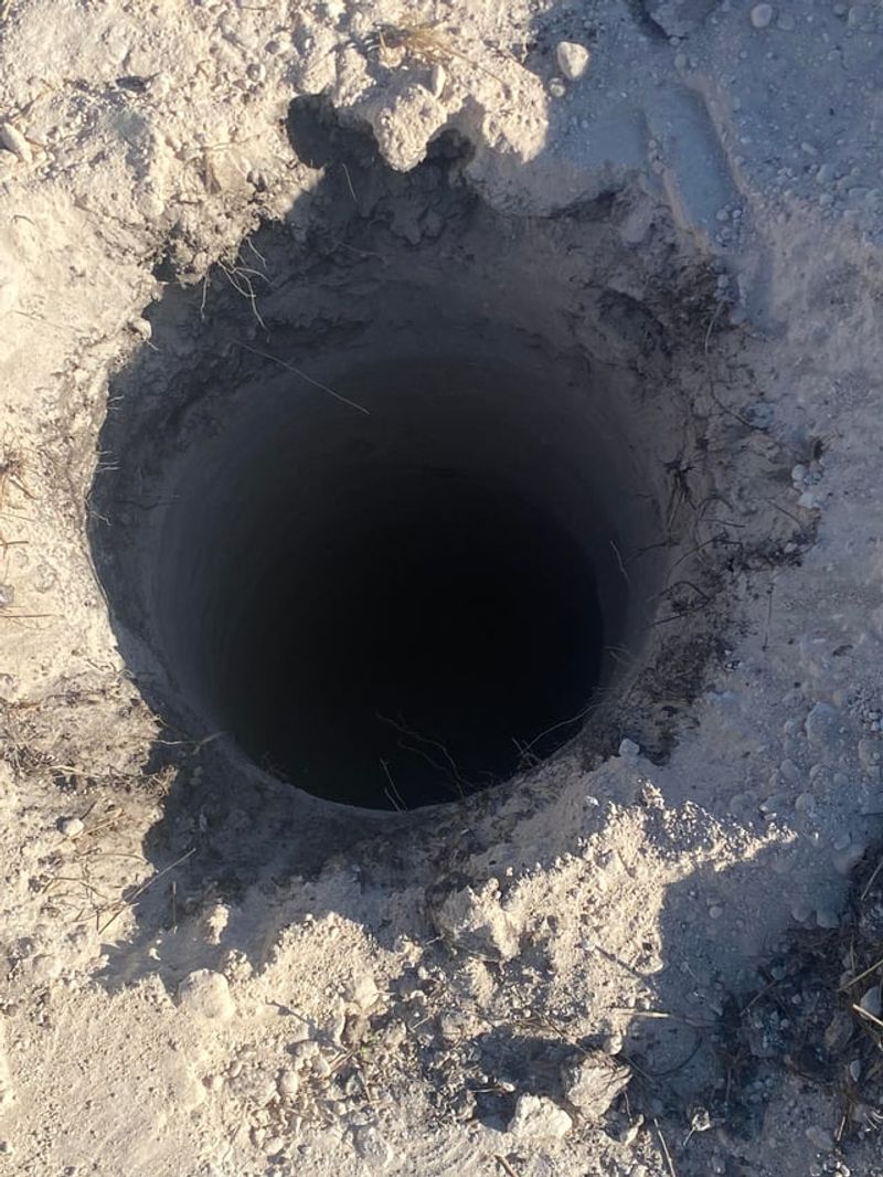 Planting Into Caliche Without Testing Drainage