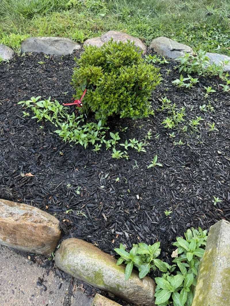 Support Recovery With Proper Care