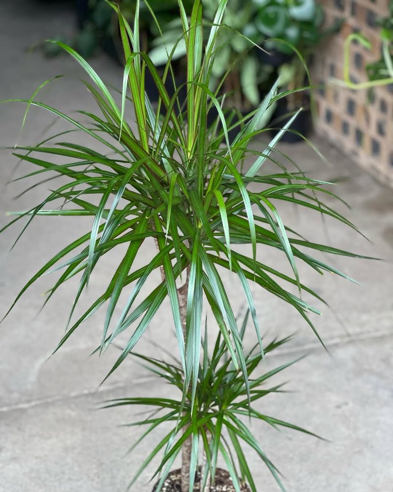 Get Light Right Without Overthinking It