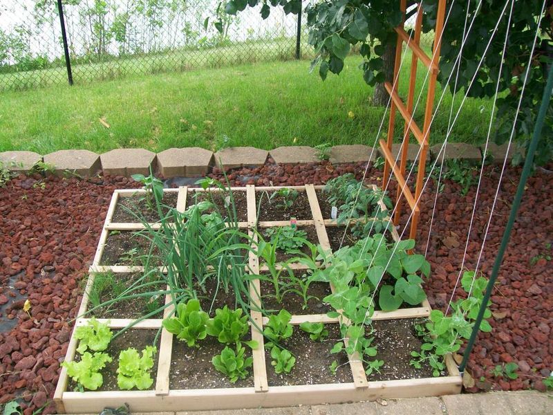 Use Vertical Space With Trellises
