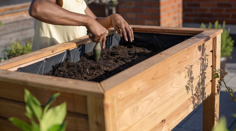 Prepare Soil And Plan New Beds