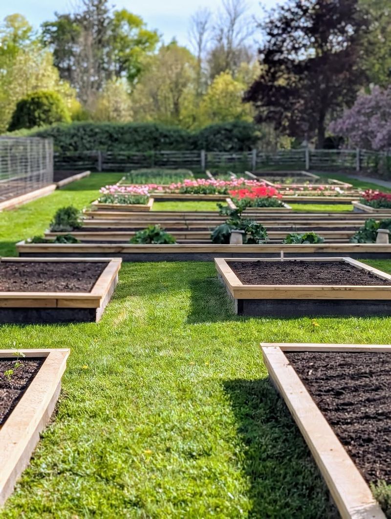 Refresh Vegetable Beds With Compost