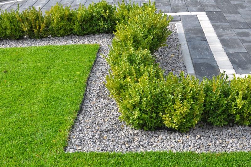 Frame The Walkway With Low Garden Borders