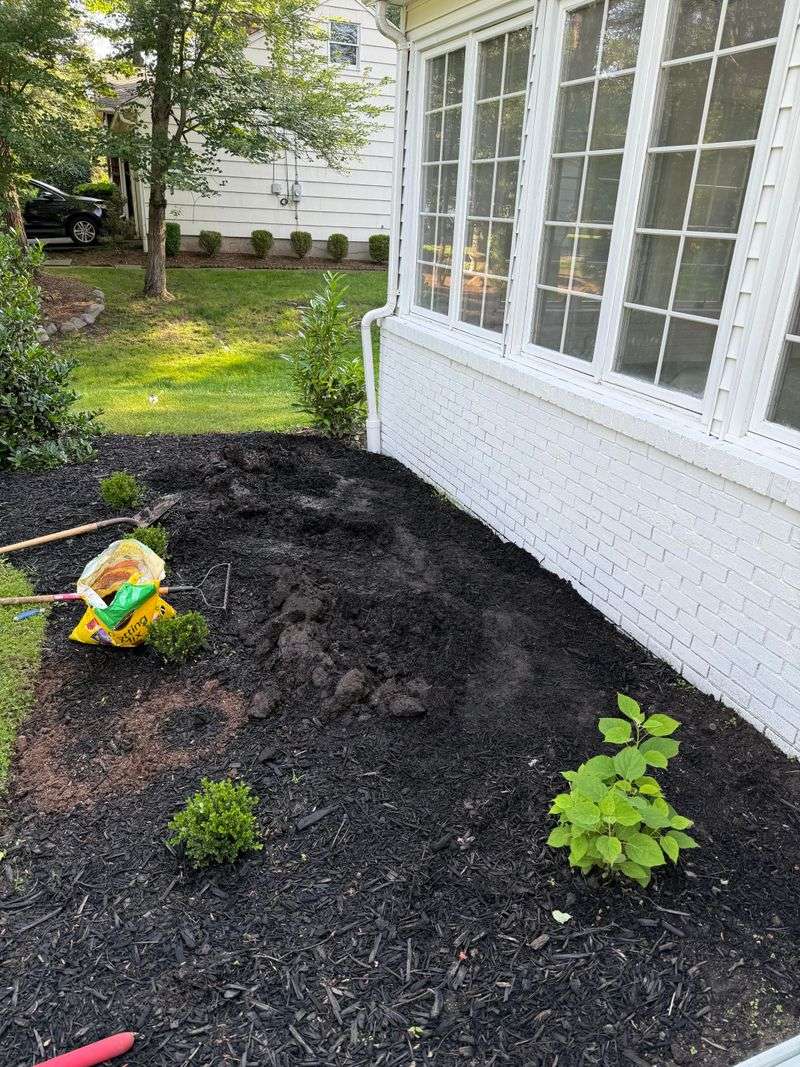 Amend Soil With Compost