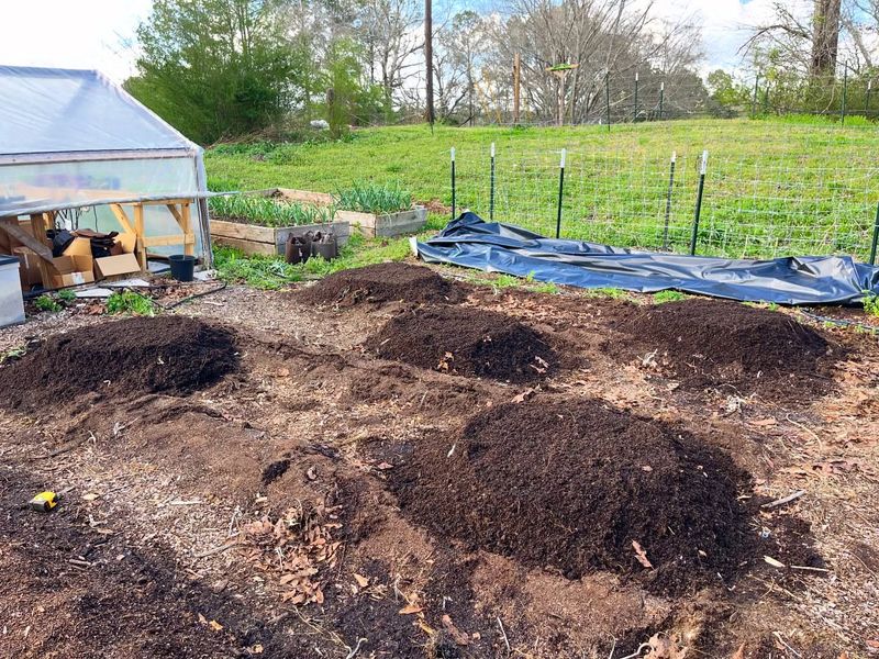 Use Rich, Well-Draining Soil To Support Strong Roots