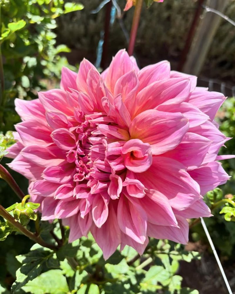 Start With Rich Soil