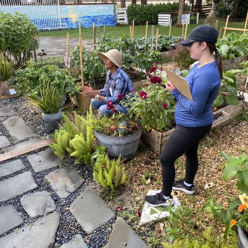 Swap Seeds And Seedlings Locally