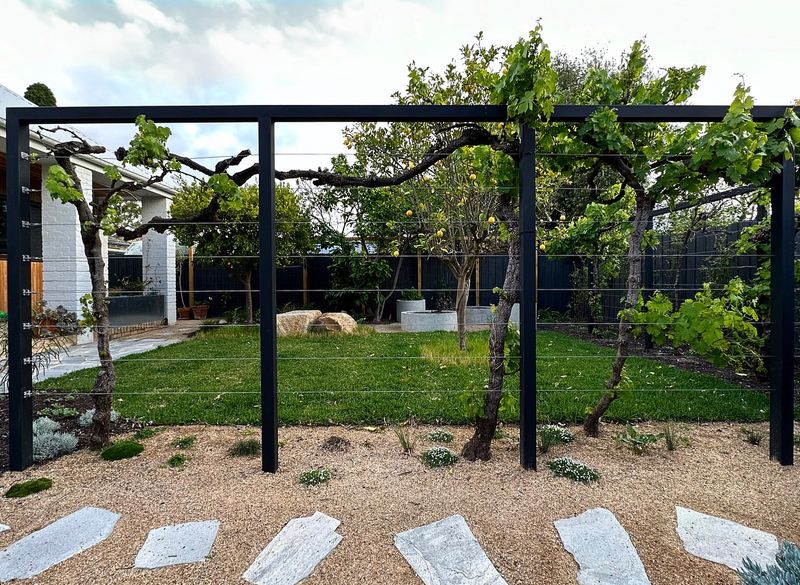 Skipping Strong Support And Trellis Training Early On