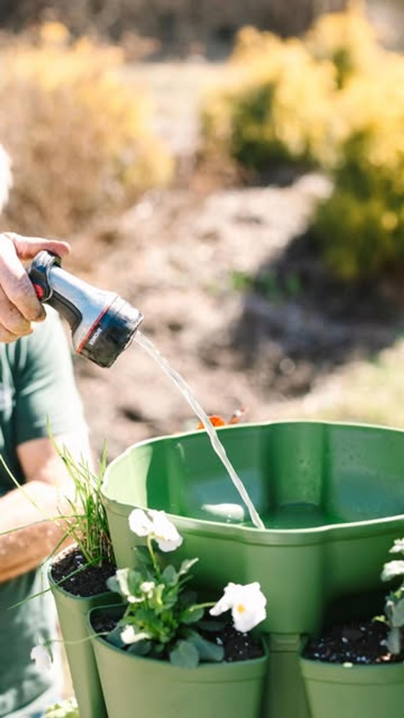Watering Too Often In Mild Weather