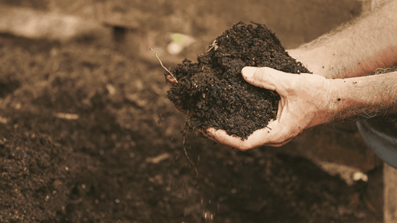 Ignoring Soil Preparation