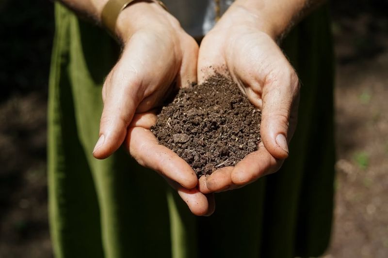 Working Or Planting In Poor Soil Conditions Without Preparation