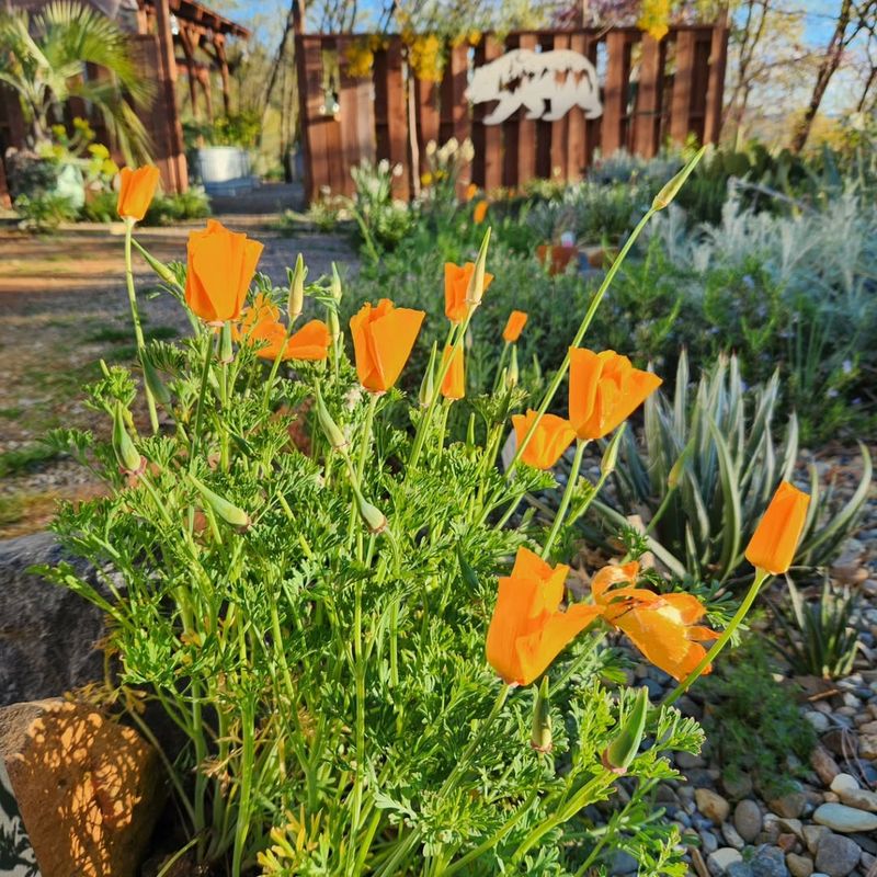 How Gardeners Are Adapting In 2026