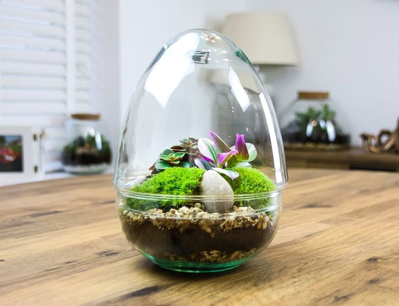 Trim And Tend To Keep It Thriving