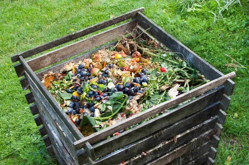 Make Compost And Mulch At Home To Reduce Costs